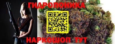 молекула духа Партизанск