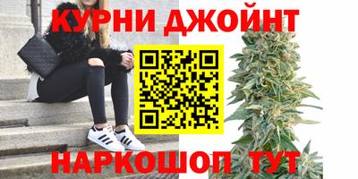 молекула духа Партизанск
