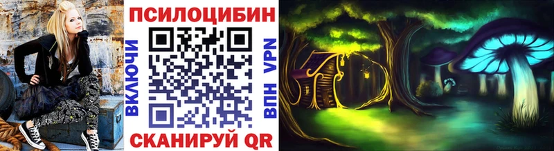 Галлюциногенные грибы Psilocybine cubensis  Чусовой 