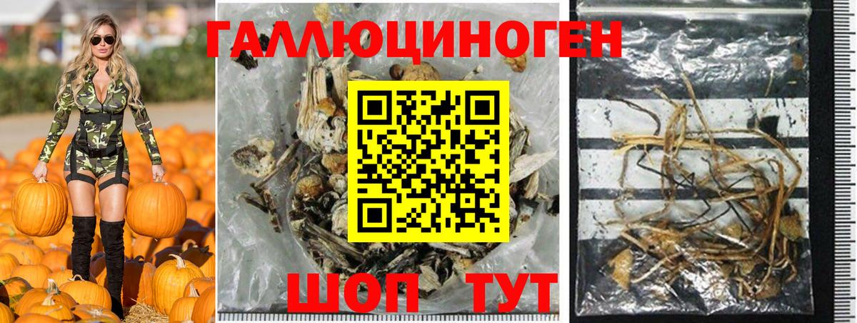 Псилоцибиновые грибы GOLDEN TEACHER  Вход с VPN  Чусовой 